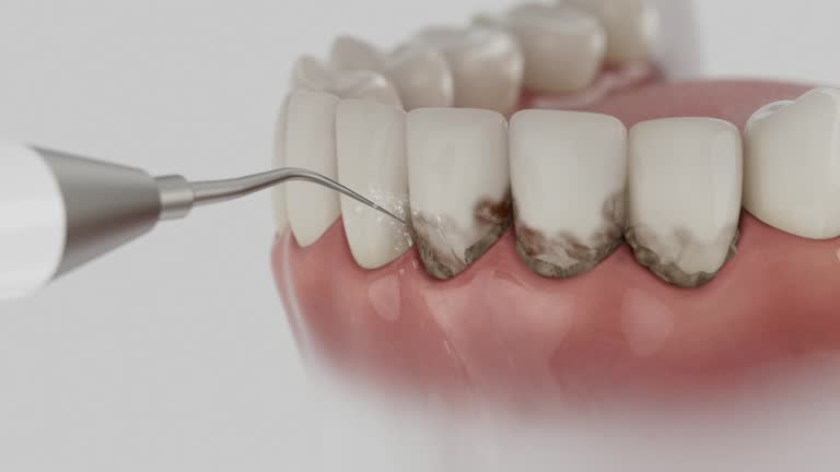 Reliable Dental contractor in Tarkio, MO by Dentist Open Now
